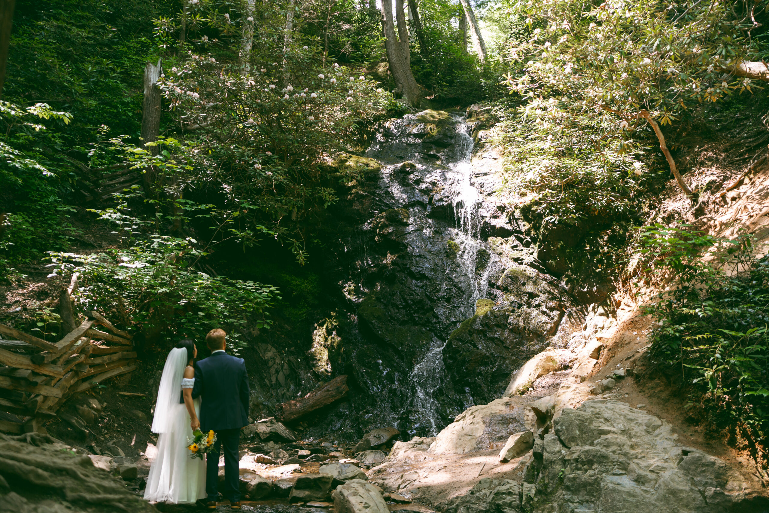 Smoky mountains micro wedding