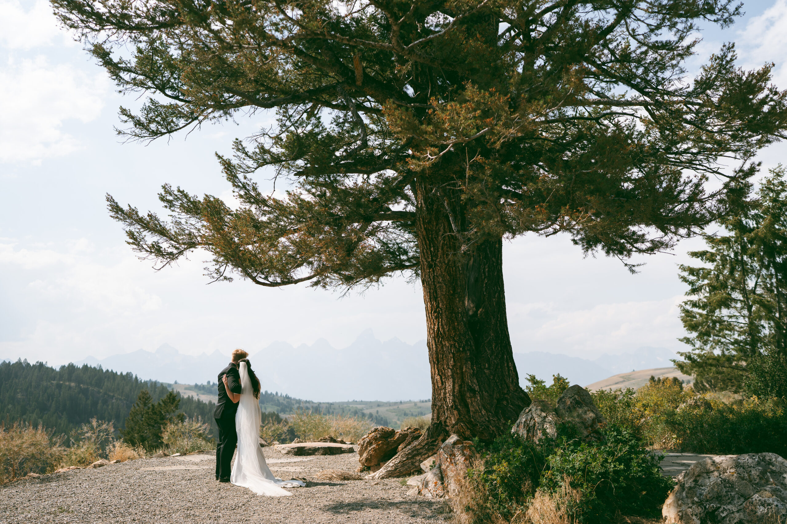 Wedding Tree Elopement in the Tetons